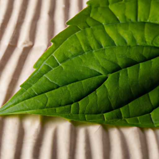 A close-up of a green leaf with a pattern of natural, biodegradable packaging material in the background.